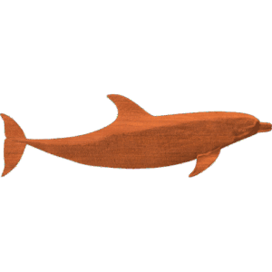 Bottlenose Dolphin